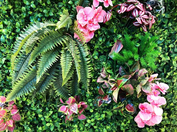 How to Create a Vertical Garden on a Balcony Using Native Perennials for Pollinators?