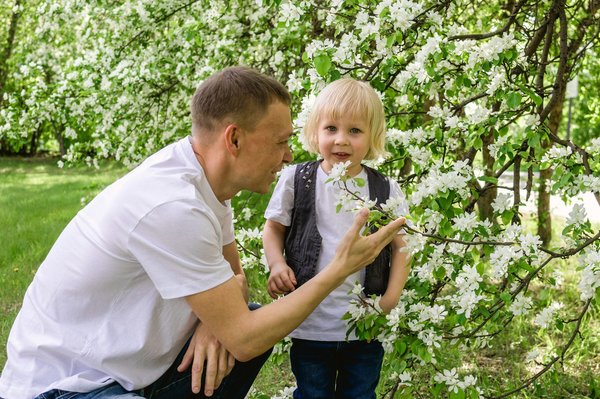 Explore scenic adventures: top bike rental options in monaco